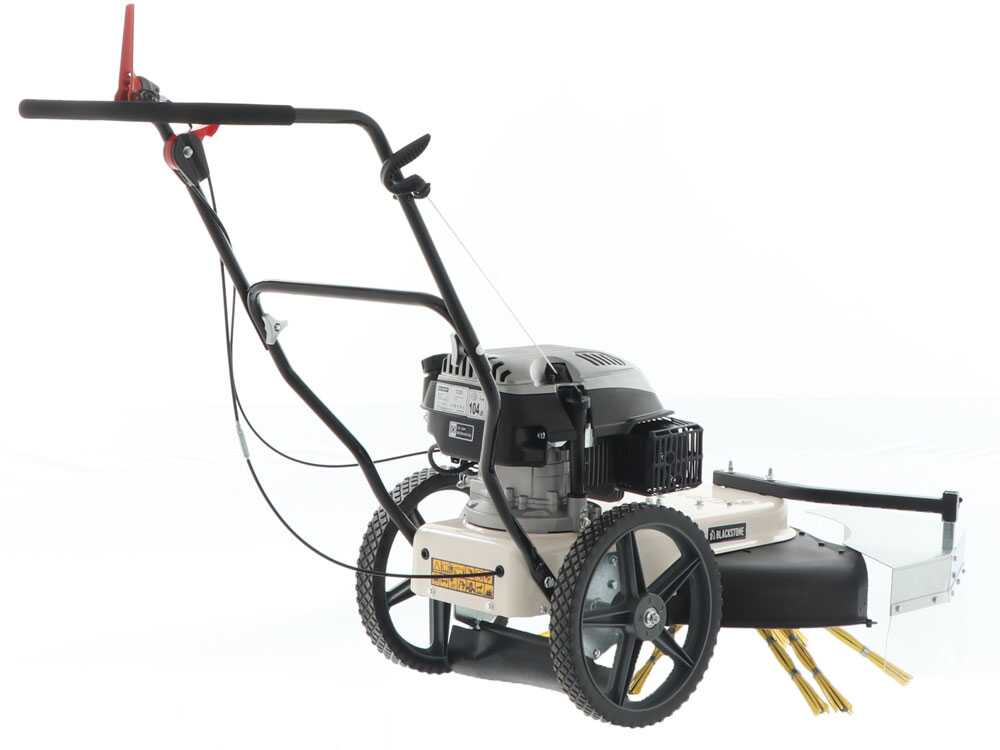Kehrmaschine-Fadenmäher zum Schieben BlackStone WYT 60-173 – Motor 173 ccm – Image 2