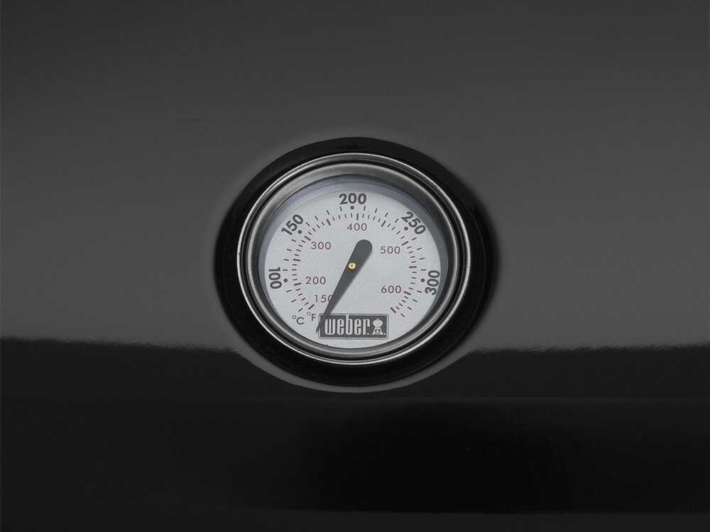 Weber Lumin mit Stand – Tragbarer Elektrogrill – Image 4